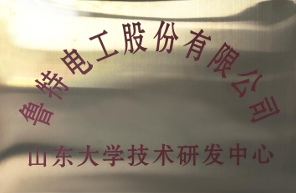 山东大学技术研究中心