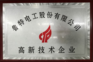高新技术企业